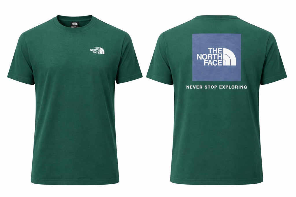 T-Shirt uomo The North Face