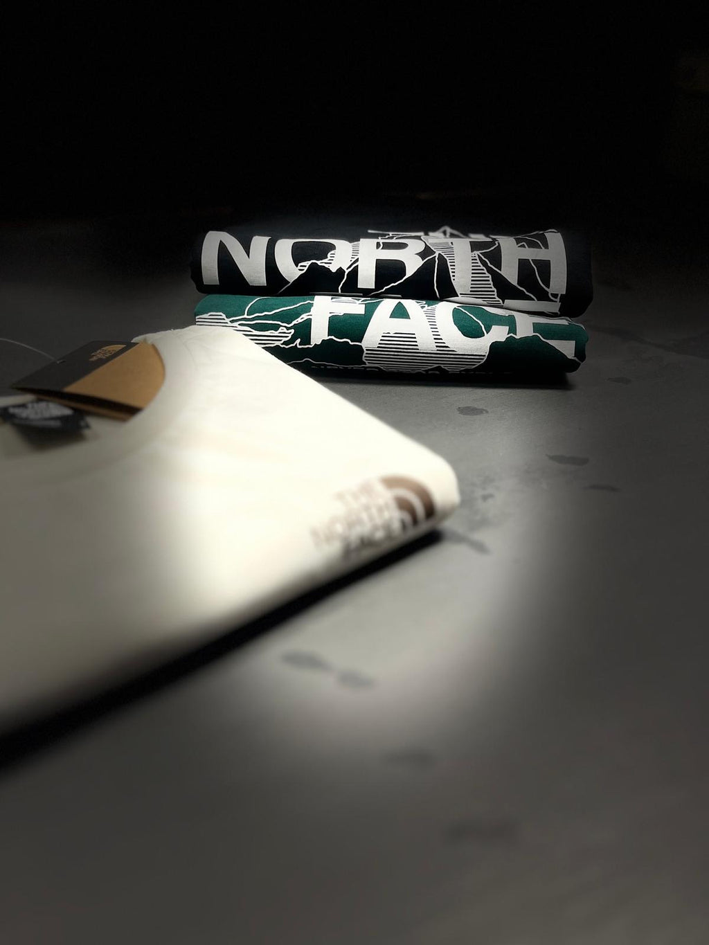 T-Shirt Uomo The North Face