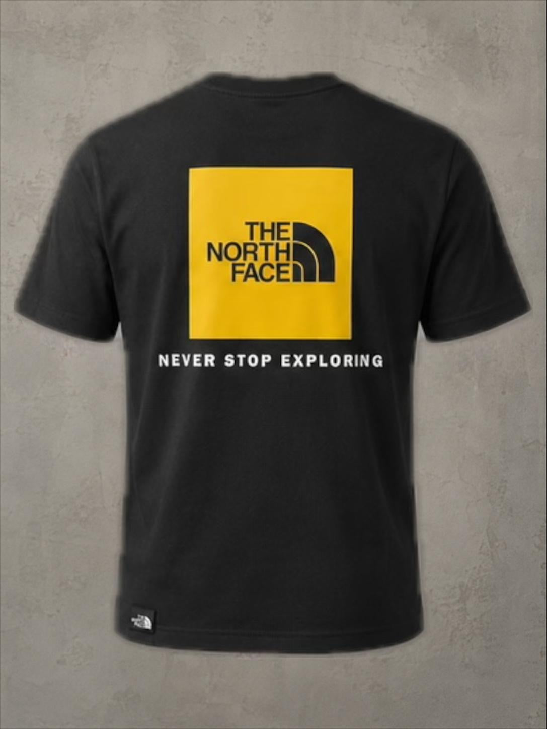 T-Shirt Uomo The North Face